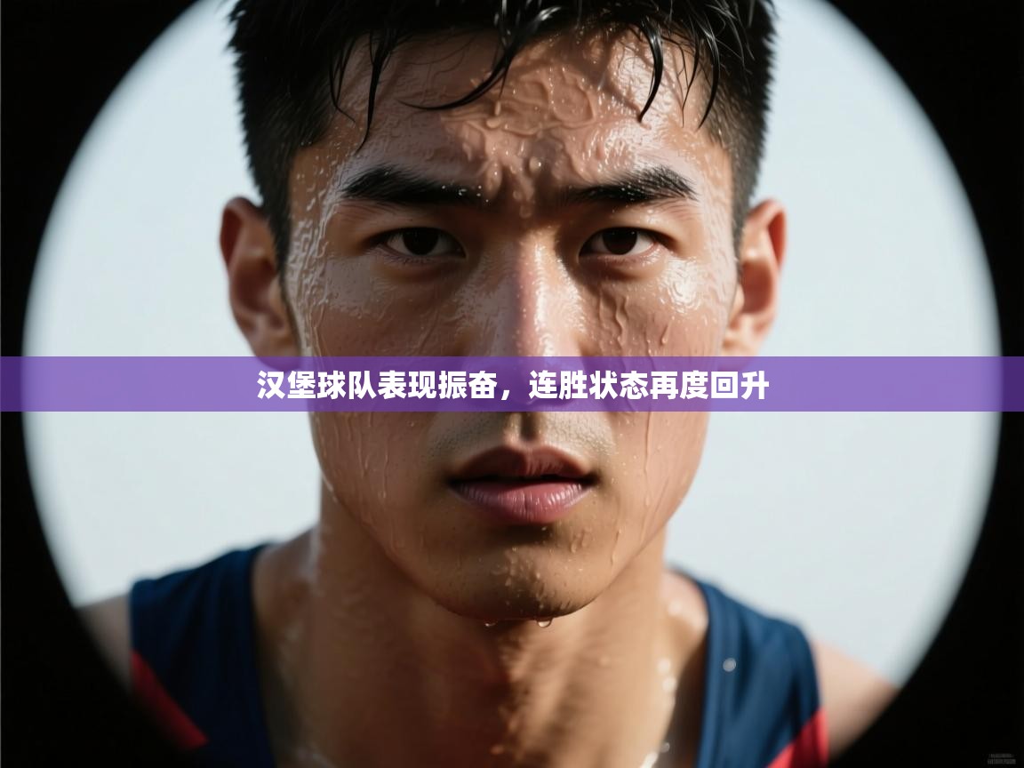 汉堡球队表现振奋，连胜状态再度回升  第1张