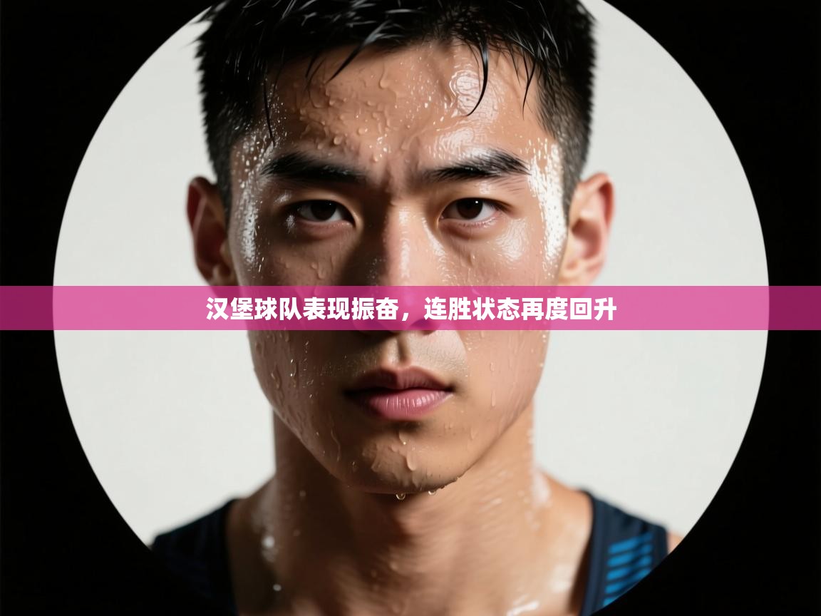 汉堡球队表现振奋，连胜状态再度回升  第2张