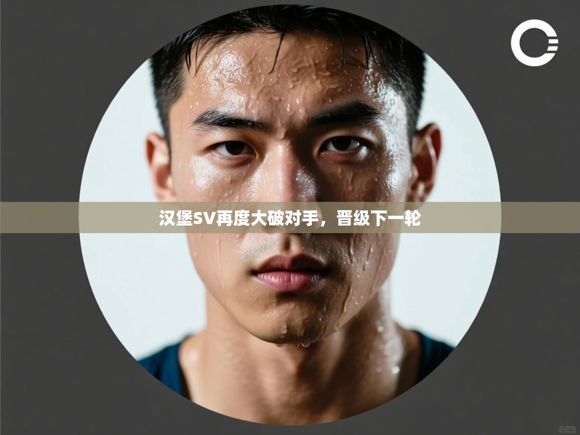 汉堡SV再度大破对手，晋级下一轮  第1张