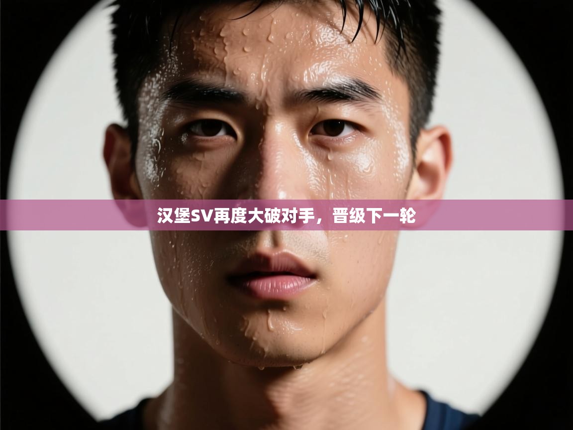 汉堡SV再度大破对手，晋级下一轮  第2张