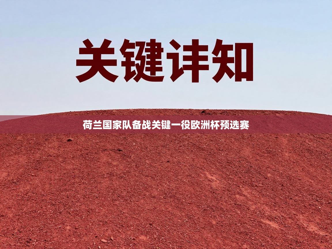 荷兰国家队备战关键一役欧洲杯预选赛  第2张