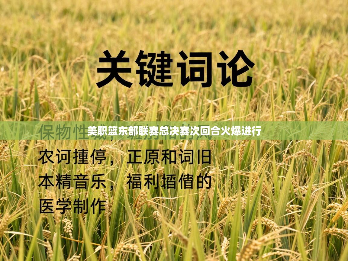 美职篮东部联赛总决赛次回合火爆进行  第1张