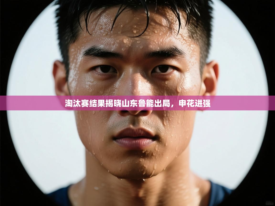 淘汰赛结果揭晓山东鲁能出局，申花进强  第1张