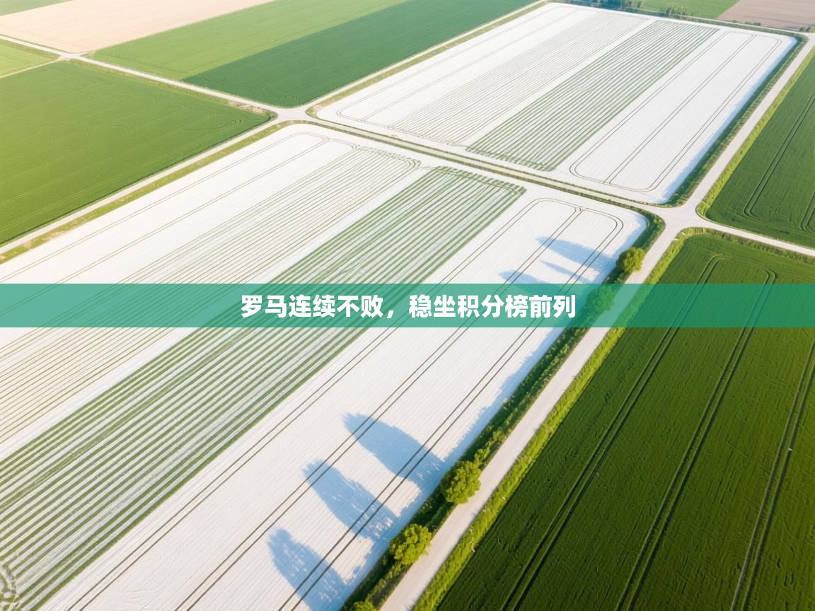 罗马连续不败，稳坐积分榜前列  第2张