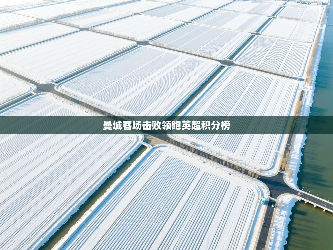 曼城客场击败领跑英超积分榜  第1张