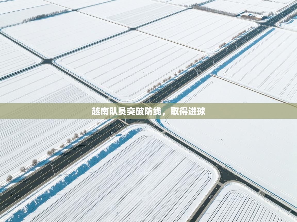 越南队员突破防线，取得进球  第1张