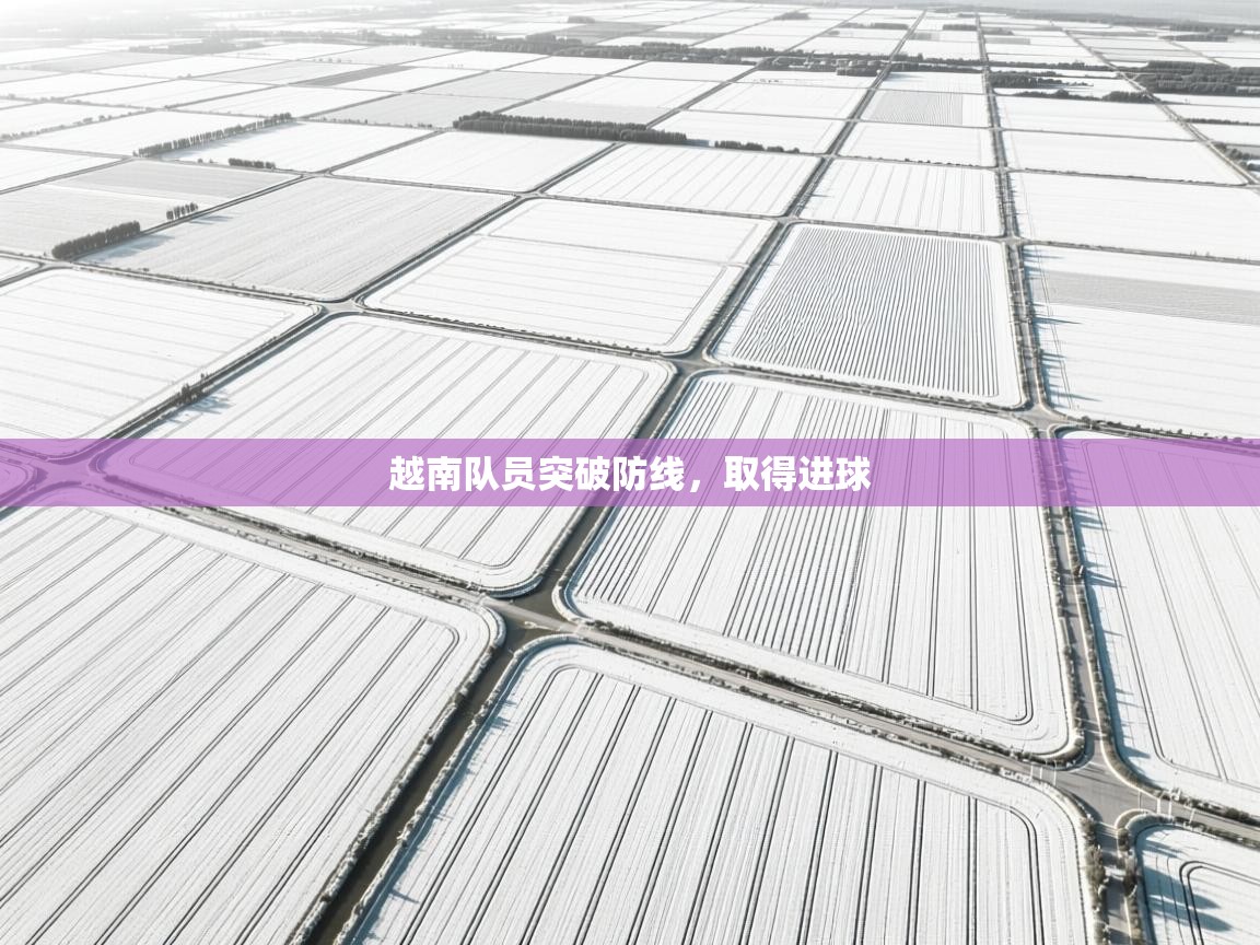 越南队员突破防线，取得进球  第2张