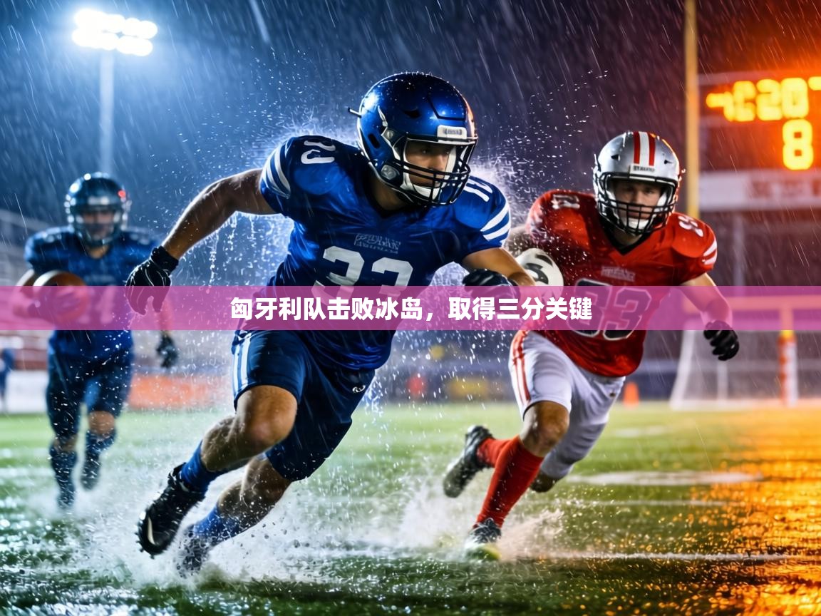 匈牙利队击败冰岛，取得三分关键  第1张